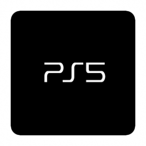 PS5 Accessories